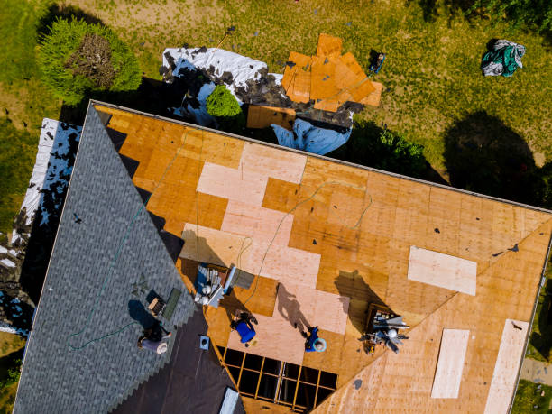 Roof Gutter Cleaning in Skyline, AL